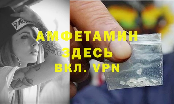 крисы Аркадак