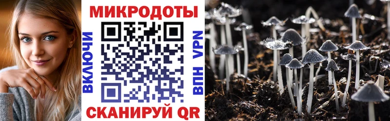 Псилоцибиновые грибы ЛСД  это какой сайт  Белая Калитва 